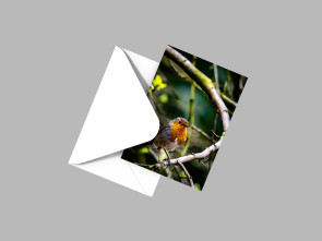 To buy a print or any of the below please click on the images